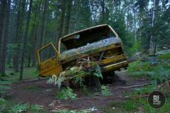 Der Waldarbeiter VW