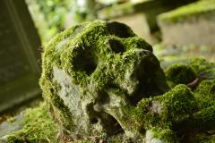 Cemetery of the Skull