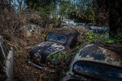 Cult Car Graveyard