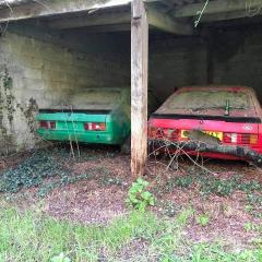 2 Abandoned Fords